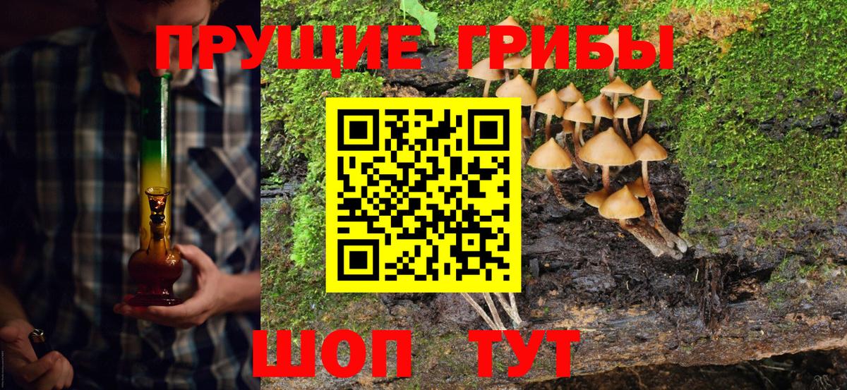 Псилоцибиновые грибы прущие грибы  закладки  Тара  Вход с VPN 